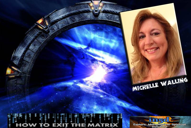 41st UFO Dinner Event: Michelle Walling: How to raise your Vibration, Wave X and Planetary&nbsp;Shift