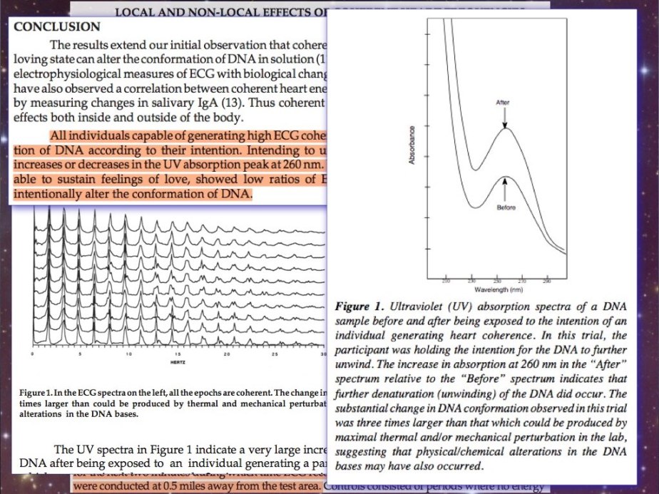 for OVNI Diner 46 Ananda Bosman Jpgs from Animated slides.089
