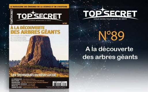 18301904_10212651901273392_955289261887643210_n