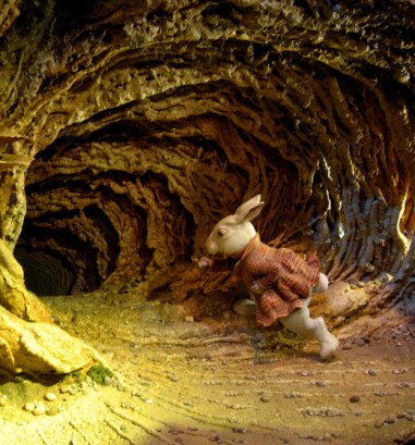 down-the-rabbit-hole-photo-by-Samantha-Marx-crop