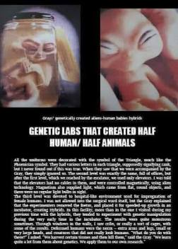 67700308_2995312483942793_6566723335923695616_n