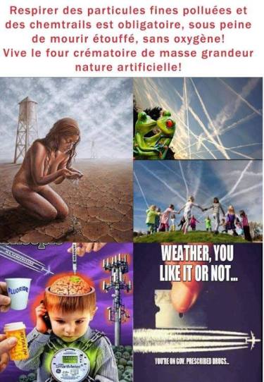 67669503_2466112286956444_8120944826364461056_n