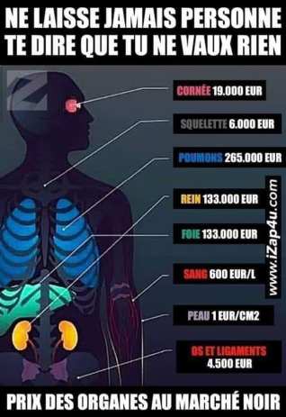 74819815_2534633979990640_7585656553978462208_n
